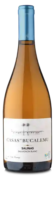 Casas De Bucalemu Salinas Sauvignon Blanc