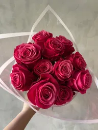 10 Rosas Frescas Color Fucsia