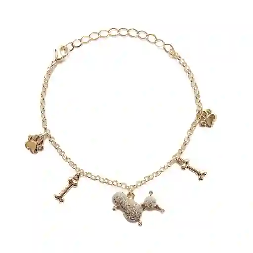 Pulsera Poodle Huesos Huellas Enchapada Oro 18k