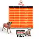 Body De Cobre Miembros Posteriores T.01