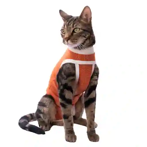 Body De Cobre Tradicional T.05