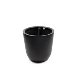 Autorregante Chono Negro L