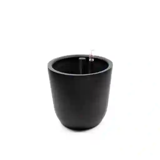 Autorregante Chono Negro L