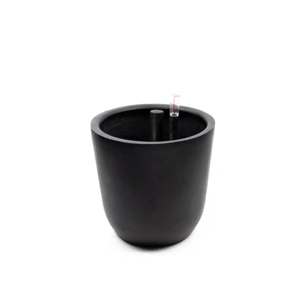 Autorregante Chono Negro L