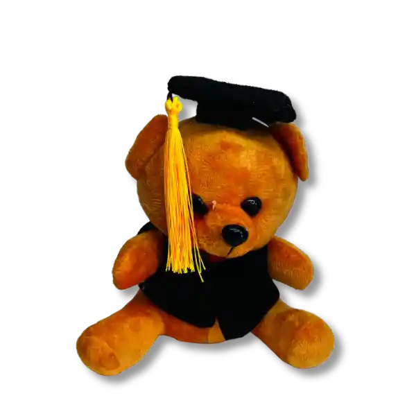 Peluche Osito Graduado