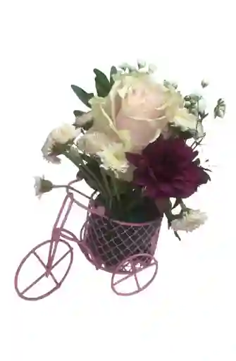 Mini Bicicleta Floral