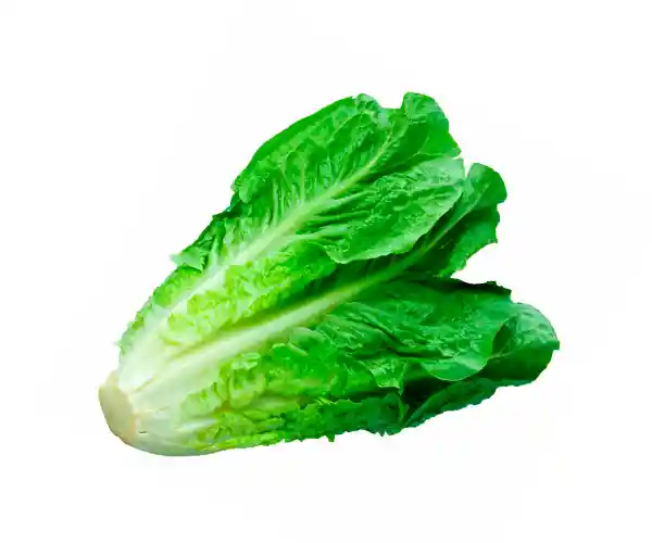 Lechuga Unidad