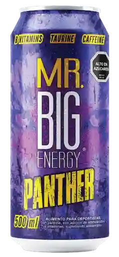 Mr, Big Pantera