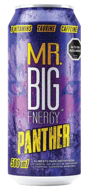 Mr, Big Pantera