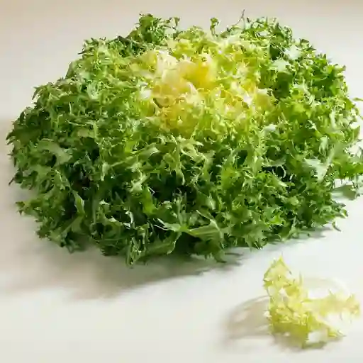 Lechuga Achicoria Und