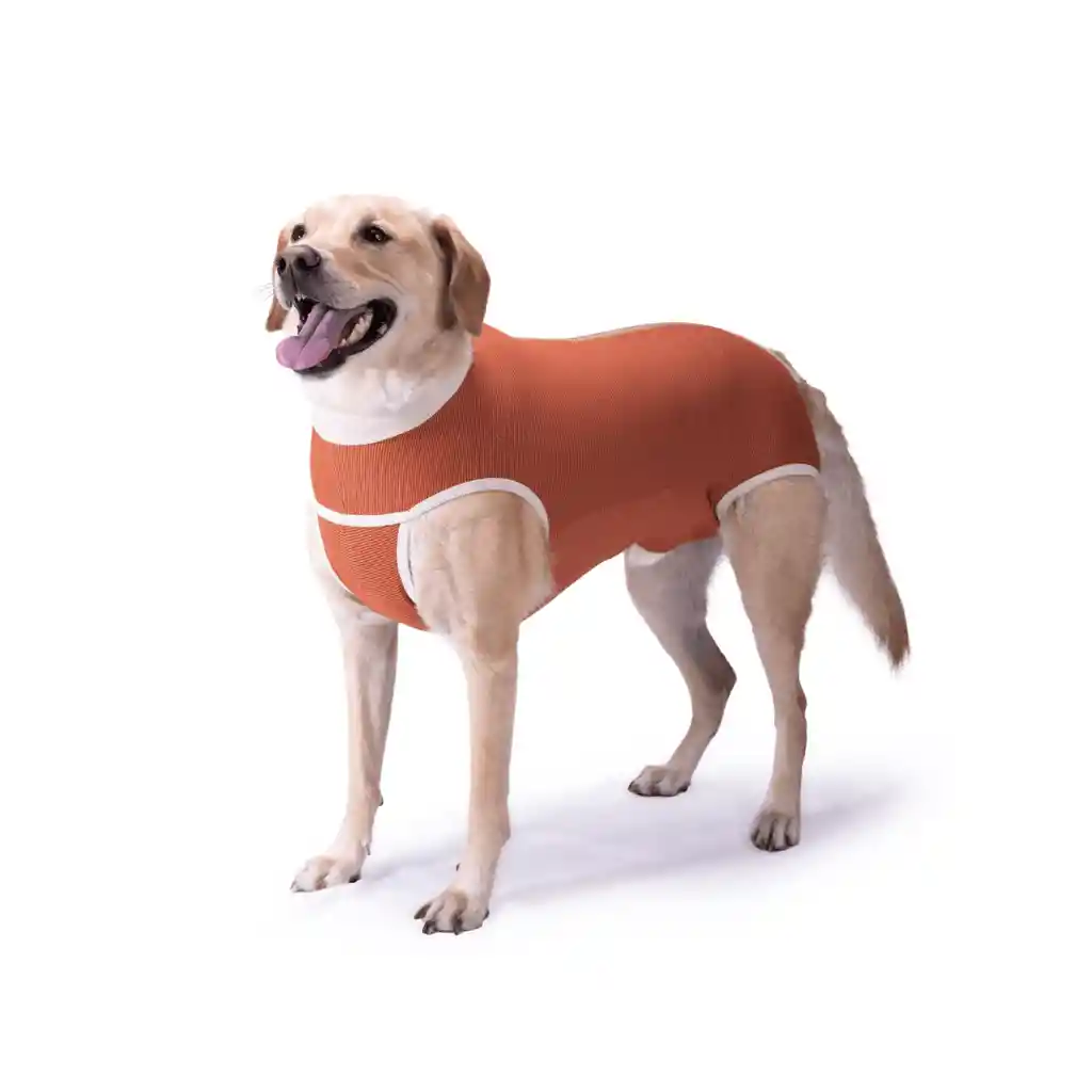 Kimba Vet - Body Cobre Talla 11 (30 A 35 Kg)