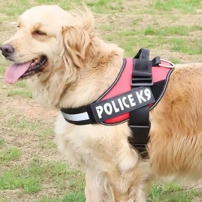 Arnes Talla S Pechera Perro Mascota K9 Alcochado Perros Pequeños Rojo