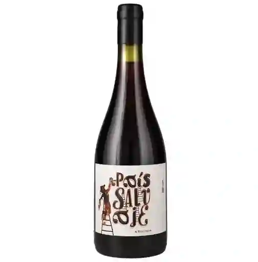 Vino J. Bouchon Pais Salvaje Tinto