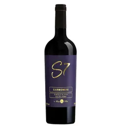 Vino Casa Silva Carmenere Sigle Block S7