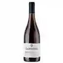 Vino Casa Marin Garnacha Syrah Cartagena Costal Red