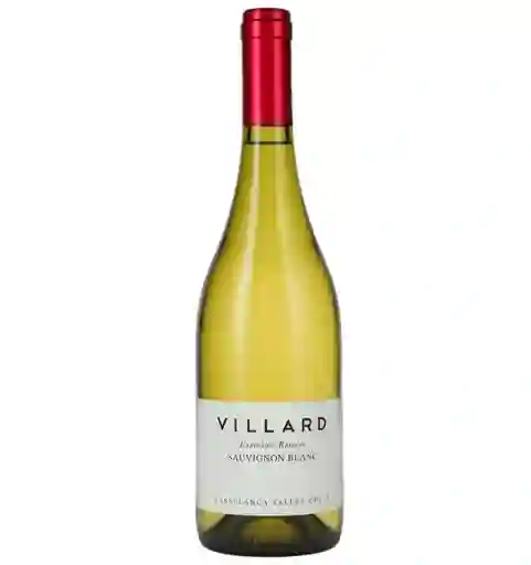 Vino Villard Sauvignon Blanc Expresion