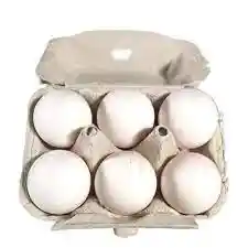 6 Huevos Primera