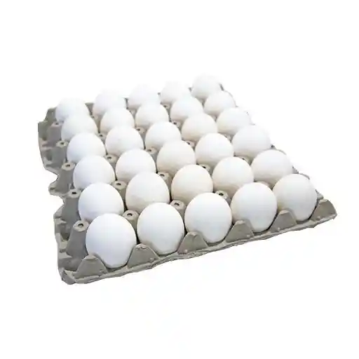 30 Huevos Blancos Primera