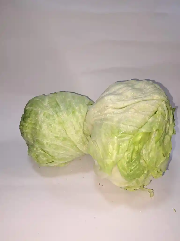 Lechuga Escarola A Granel