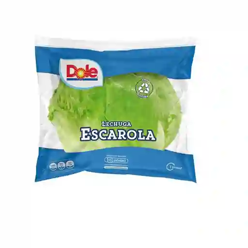 Lechuga Escarola Envasada