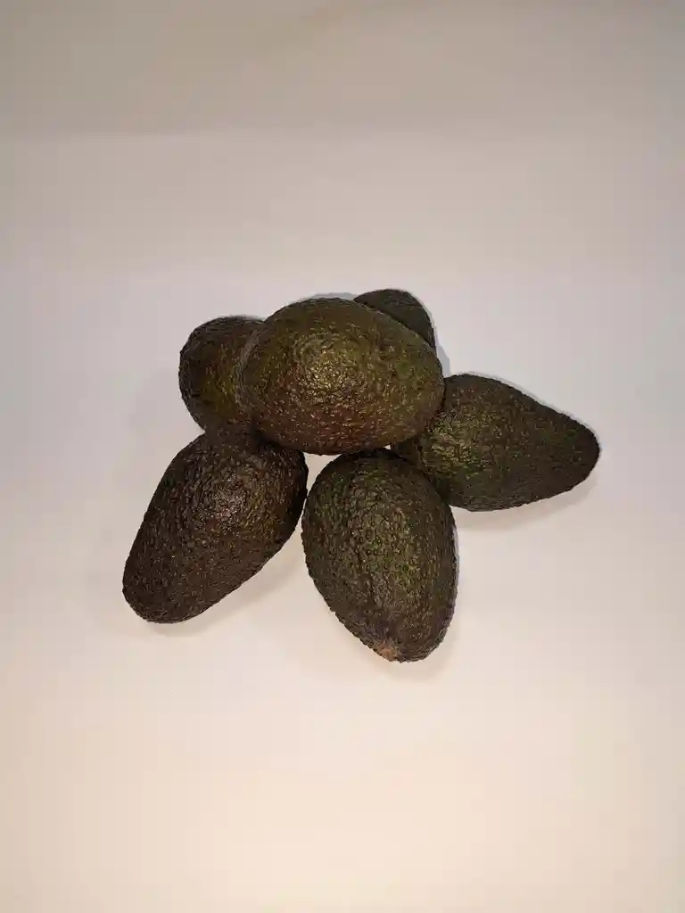 Palta