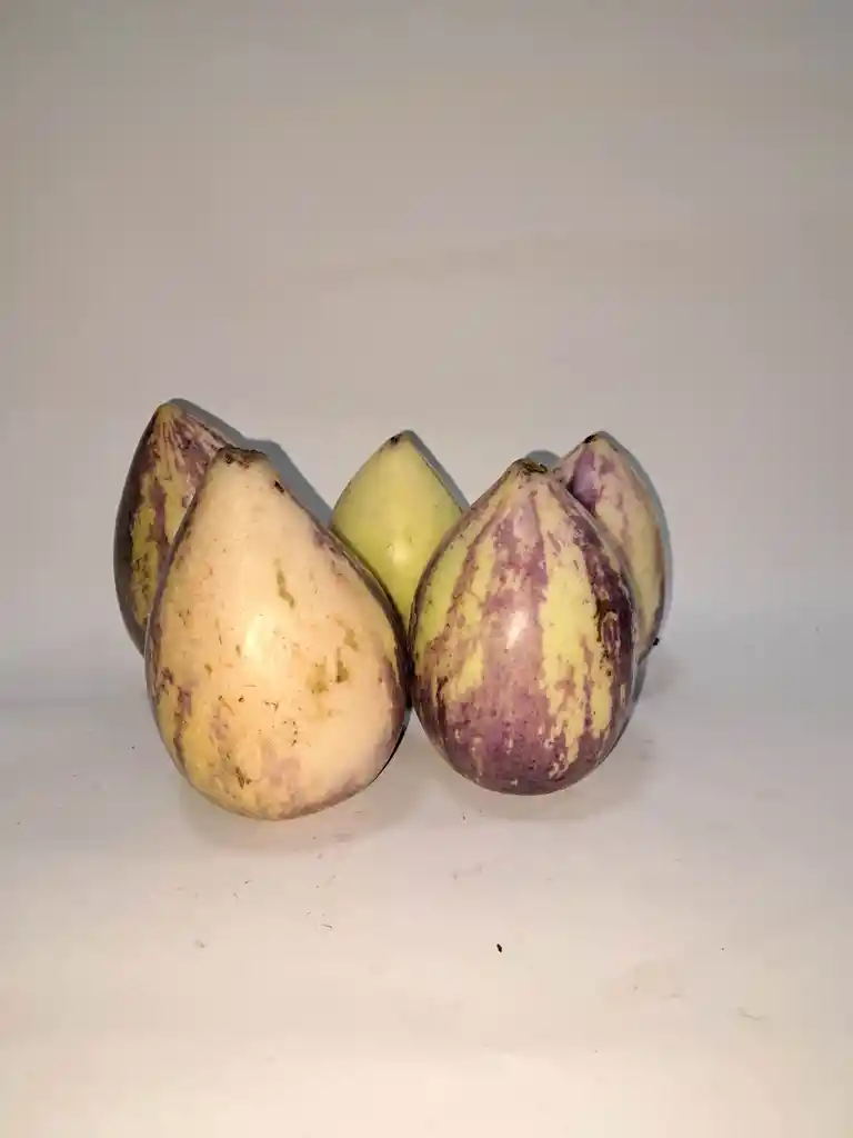 Pepino Fruta