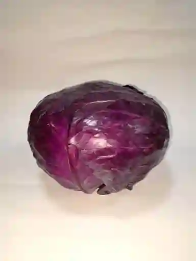 Repollo Morado