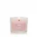 Jar Mini Snowflake Kisses