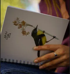 Cuaderno Book 17,5x21cm Ave Siete Colores Araucaria