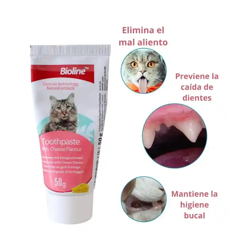 Kit De Higiene Dental Gato Bioline Pasta + 2 Cepillos Diente