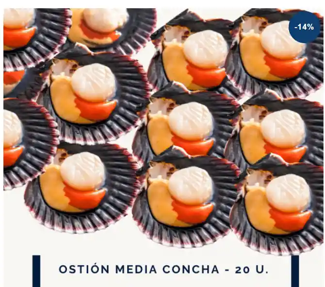 Ostion Media Concha 20 U, Pack X3