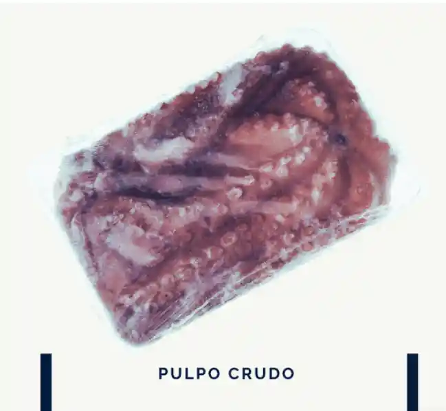 Pulpo Crudo Bloque, Pack X3