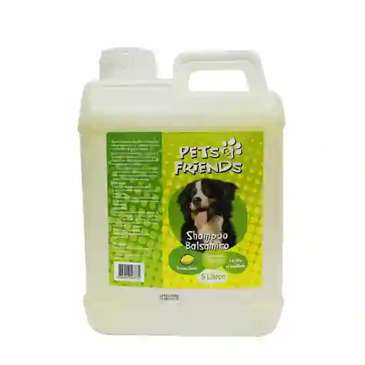 Shampoo Pets & Friends Para Perros Balsamico 5 Litros