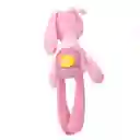 Peluche De Apego Juguete Tuto Amigo Para Bebe Guagua Conejo (rosa)