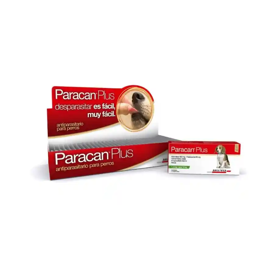 Paracan Plus 1 Comprimido