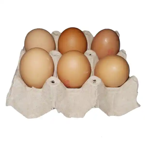 Huevos Color Primera