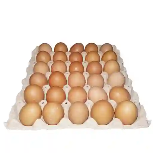 Huevos Color Primera