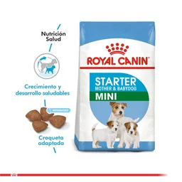 Royal Canin Alimento Seco Mini Starter 3 Kg