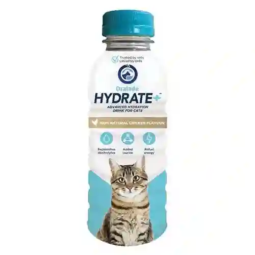 Hydrate Para Gatos