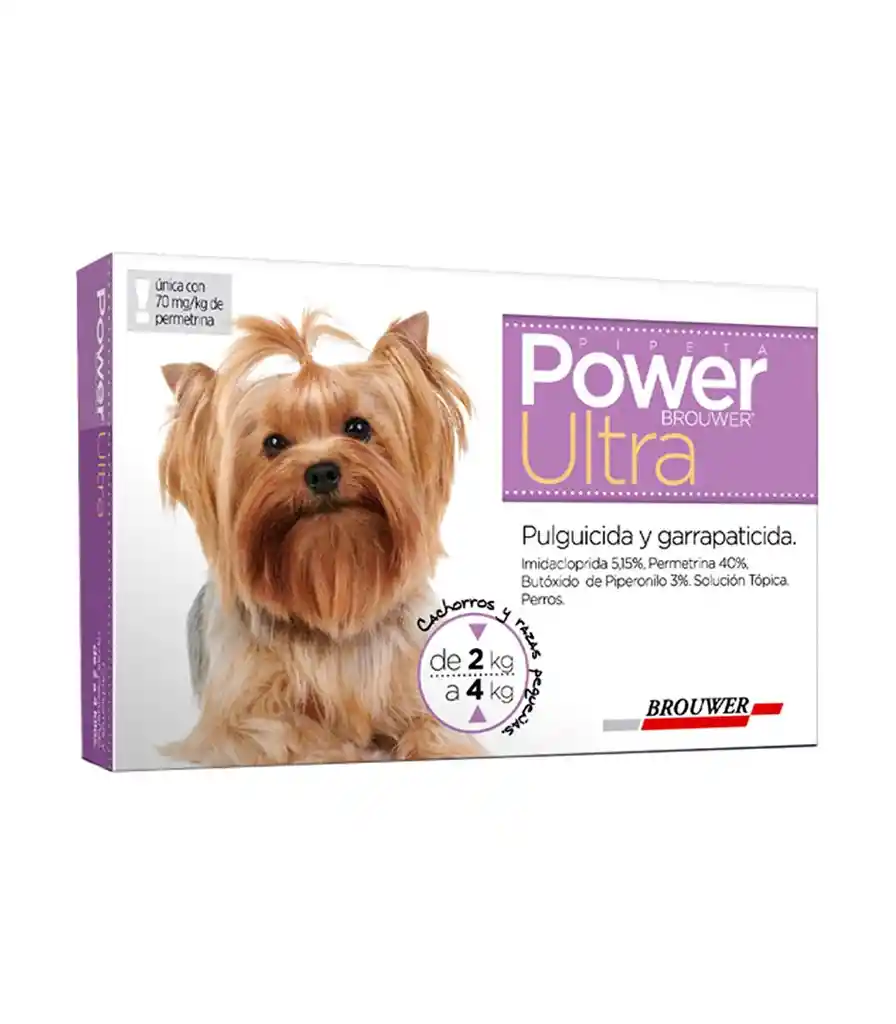 Power Ultra 2 A 4 Kg