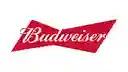 Six Pack Budweiser Zero Botellin 330ml