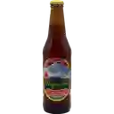 Cerveza Plagemann Frambuesa 4.5° G.l. 330cc