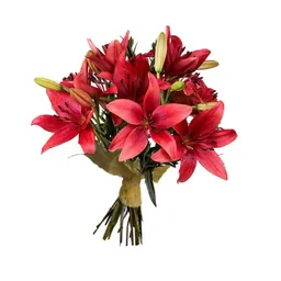 Ramo Premium De 10 Lilium Rojos