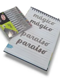 Set Guía De Letras + 12 Marcadores Punta Pincel Semi Profesionales