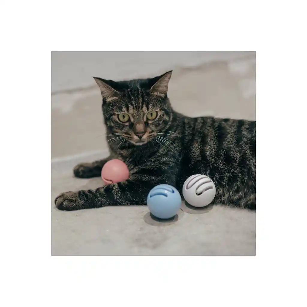 Pelota Juguete Para Gatos Pidan - Azul