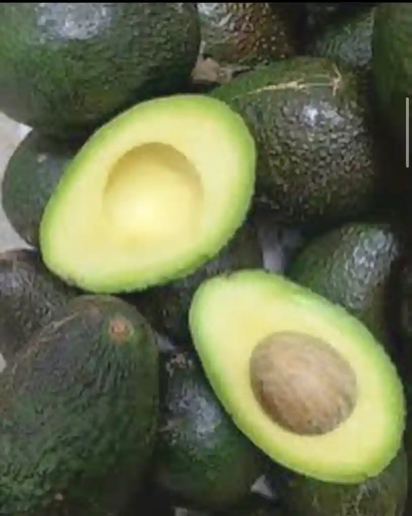 Palta 1 Kilo