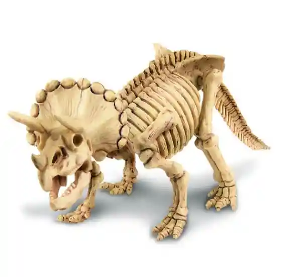 4m Kidzlabs Excava Dinosaurio Triceratops