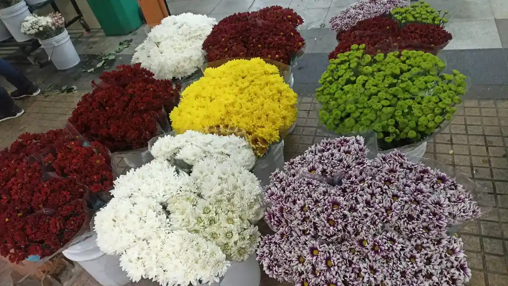 Ramo Premium De Crisantemos Mix Primaveral Varios Colores