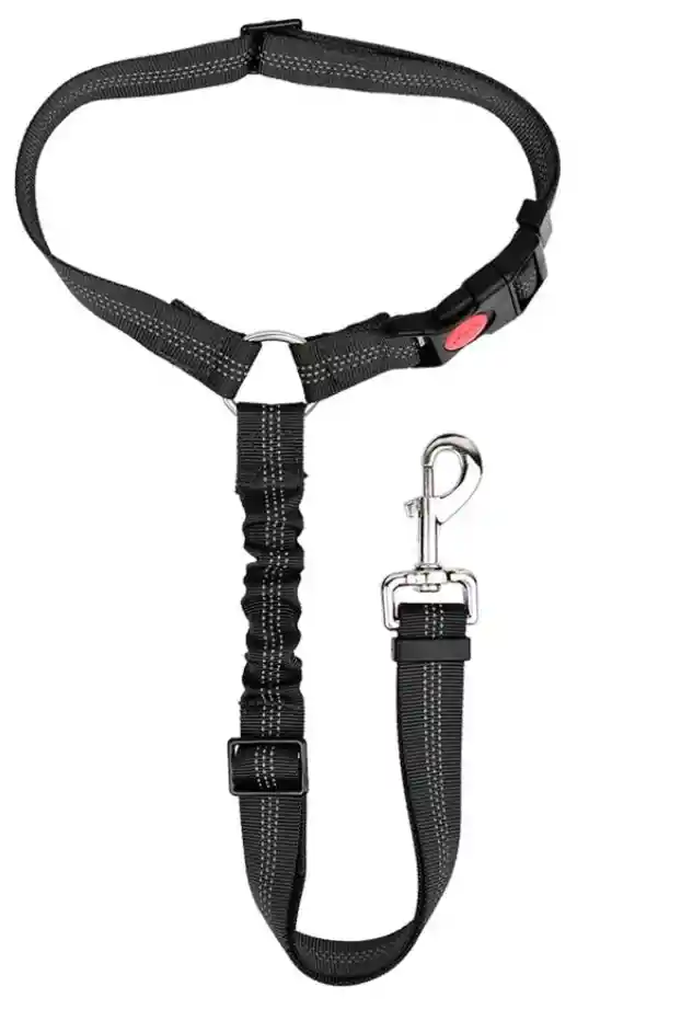 Correa Para Mascota
