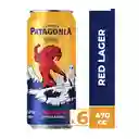 Six Pack Patagonia Red Lager 470cc